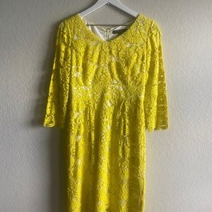 Alex Marie- Yellow Lace Midi Dress